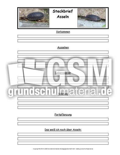Asseln-Tiersteckbriefvorlage.pdf